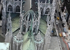 St. Patrick's cathedral